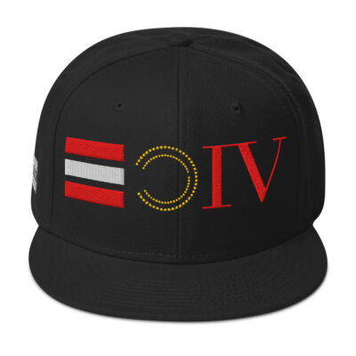 VFP4 Snapback Hat