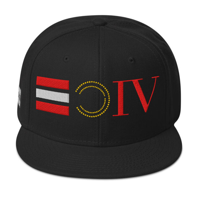 VFP4 Snapback Hat
